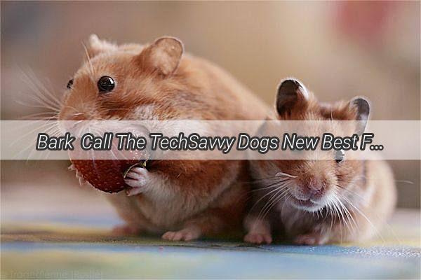 Bark  Call The TechSavvy Dogs New Best Friend